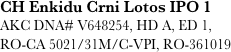 CH Enkidu Crni Lotos IPO 1
AKC DNA# V648254, HD A, ED 1, 
RO-CA 5021/31M/C-VPI, RO-361019