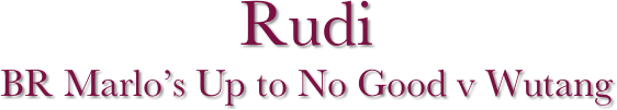 Rudi 
BR Marlo’s Up to No Good v Wutang 